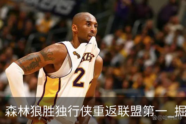 森林狼胜独行侠重返联盟第一 掘金胜篮网3连胜